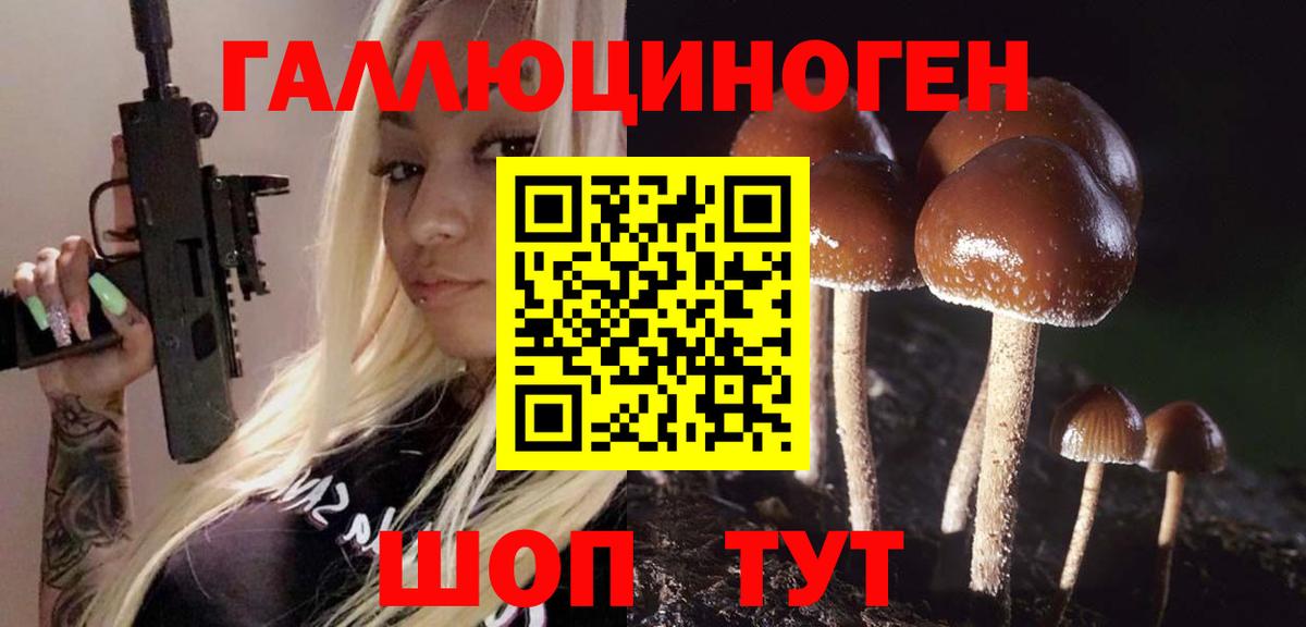 Нальчик  Галлюциногенные грибы GOLDEN TEACHER  Вход с VPN 